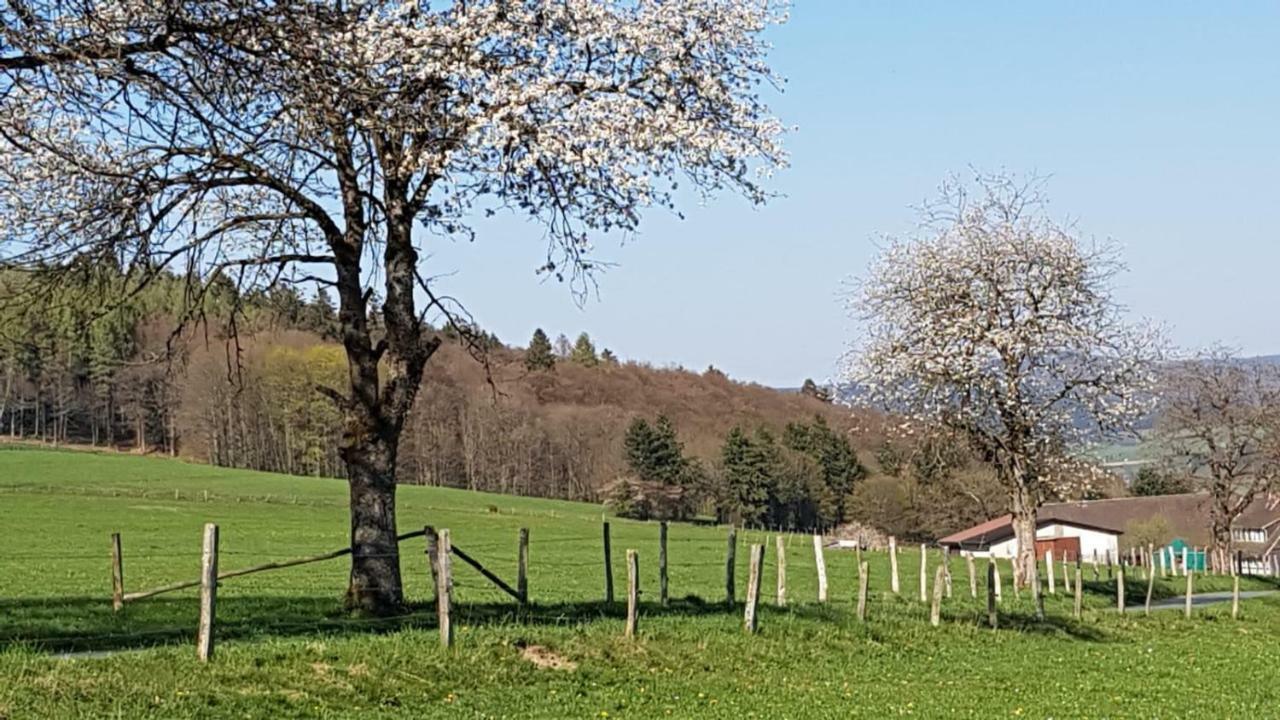 Ferienhaus "Am Gehre" Bad Berleburg Dış mekan fotoğraf